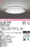 ODELIC ǥå 󥰥饤 OL291579RþʾLEDη¡ʰΡѤ䡡Ҹ -LIGHTING DEPOT-