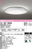 ODELIC ǥå 󥰥饤 OL291583RþʾLEDη¡ʰΡѤ䡡Ҹ -LIGHTING DEPOT-