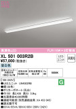 ODELIC ǥå ١饤 XL501003R2BþʾLEDη¡ʰΡѤ䡡Ҹ -LIGHTING DEPOT-