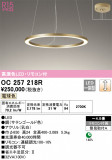 ODELIC ǥå ǥꥢ OC257218RþʾLEDη¡ʰΡѤ䡡Ҹ -LIGHTING DEPOT-