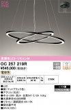 ODELIC ǥå ǥꥢ OC257219RþʾLEDη¡ʰΡѤ䡡Ҹ -LIGHTING DEPOT-