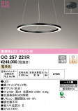 ODELIC ǥå ǥꥢ OC257221RþʾLEDη¡ʰΡѤ䡡Ҹ -LIGHTING DEPOT-