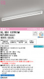 ODELIC ǥå ١饤 XL551137R1MþʾLEDη¡ʰΡѤ䡡Ҹ -LIGHTING DEPOT-