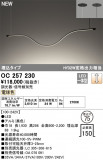 ODELIC ǥå LED ǥꥢ OC257230þʾLEDη¡ʰΡѤ䡡Ҹ -LIGHTING DEPOT-