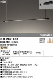 ODELIC ǥå LED ǥꥢ OC257233þʾLEDη¡ʰΡѤ䡡Ҹ -LIGHTING DEPOT-