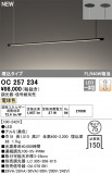 ODELIC ǥå LED ǥꥢ OC257234þʾLEDη¡ʰΡѤ䡡Ҹ -LIGHTING DEPOT-