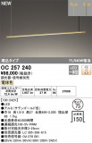 ODELIC ǥå LED ǥꥢ OC257240þʾLEDη¡ʰΡѤ䡡Ҹ -LIGHTING DEPOT-