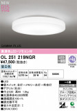 ODELIC ǥå LED 󥰥饤 OL251219NGRþʾLEDη¡ʰΡѤ䡡Ҹ -LIGHTING DEPOT-