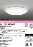 ODELIC ǥå LED 󥰥饤 OL251498NGRþʾLEDη¡ʰΡѤ䡡Ҹ -LIGHTING DEPOT-