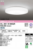 ODELIC ǥå LED 󥰥饤 OL251614NGRþʾLEDη¡ʰΡѤ䡡Ҹ -LIGHTING DEPOT-