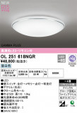 ODELIC ǥå LED 󥰥饤 OL251618NGRþʾLEDη¡ʰΡѤ䡡Ҹ -LIGHTING DEPOT-