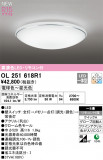 ODELIC ǥå LED 󥰥饤 OL251618R1þʾLEDη¡ʰΡѤ䡡Ҹ -LIGHTING DEPOT-