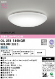 ODELIC ǥå LED 󥰥饤 OL251816NGRþʾLEDη¡ʰΡѤ䡡Ҹ -LIGHTING DEPOT-