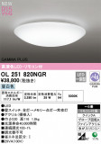 ODELIC ǥå LED 󥰥饤 OL251820NGRþʾLEDη¡ʰΡѤ䡡Ҹ -LIGHTING DEPOT-