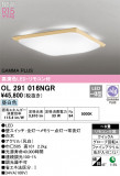 ODELIC ǥå LED 󥰥饤 OL291016NGRþʾLEDη¡ʰΡѤ䡡Ҹ -LIGHTING DEPOT-