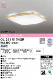 ODELIC ǥå LED 󥰥饤 OL291017NGRþʾLEDη¡ʰΡѤ䡡Ҹ -LIGHTING DEPOT-