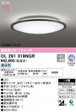 ODELIC ǥå LED 󥰥饤 OL291319NGRþʾLEDη¡ʰΡѤ䡡Ҹ -LIGHTING DEPOT-