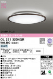 ODELIC ǥå LED 󥰥饤 OL291320NGRþʾLEDη¡ʰΡѤ䡡Ҹ -LIGHTING DEPOT-