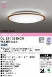 ODELIC ǥå LED 󥰥饤 OL291323NGRþʾLEDη¡ʰΡѤ䡡Ҹ -LIGHTING DEPOT-