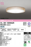 ODELIC ǥå LED 󥰥饤 OL291505NGRþʾLEDη¡ʰΡѤ䡡Ҹ -LIGHTING DEPOT-