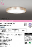 ODELIC ǥå LED 󥰥饤 OL291506NGRþʾLEDη¡ʰΡѤ䡡Ҹ -LIGHTING DEPOT-