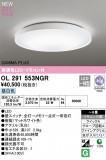 ODELIC ǥå LED 󥰥饤 OL291553NGRþʾLEDη¡ʰΡѤ䡡Ҹ -LIGHTING DEPOT-