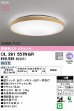 ODELIC ǥå LED 󥰥饤 OL291557NGRþʾLEDη¡ʰΡѤ䡡Ҹ -LIGHTING DEPOT-