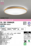 ODELIC ǥå LED 󥰥饤 OL291558NGRþʾLEDη¡ʰΡѤ䡡Ҹ -LIGHTING DEPOT-