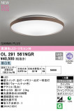 ODELIC ǥå LED 󥰥饤 OL291561NGRþʾLEDη¡ʰΡѤ䡡Ҹ -LIGHTING DEPOT-