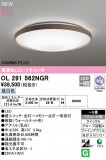 ODELIC ǥå LED 󥰥饤 OL291562NGRþʾLEDη¡ʰΡѤ䡡Ҹ -LIGHTING DEPOT-