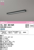 ODELIC ǥå LED å饤 OL291651NRþʾLEDη¡ʰΡѤ䡡Ҹ -LIGHTING DEPOT-