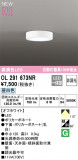 ODELIC ǥå LED 󥰥饤 OL291673NRþʾLEDη¡ʰΡѤ䡡Ҹ -LIGHTING DEPOT-