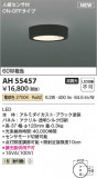 Koizumi ߾  AH55457þʾLEDη¡ʰΡѤ䡡Ҹ -LIGHTING DEPOT-