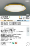 Koizumi ߾  AH55829þʾLEDη¡ʰΡѤ䡡Ҹ -LIGHTING DEPOT-