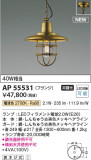 Koizumi ߾ ڥ AP55531þʾLEDη¡ʰΡѤ䡡Ҹ -LIGHTING DEPOT-