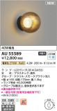 Koizumi ߾ ɱɼ֥饱å AU55589þʾLEDη¡ʰΡѤ䡡Ҹ -LIGHTING DEPOT-