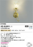 Koizumi ߾ ֥饱å AB40489LþʾLEDη¡ʰΡѤ䡡Ҹ -LIGHTING DEPOT-