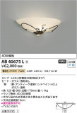 Koizumi ߾ ֥饱å AB40675LþʾLEDη¡ʰΡѤ䡡Ҹ -LIGHTING DEPOT-