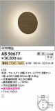 Koizumi ߾ ֥饱å AB50677þʾLEDη¡ʰΡѤ䡡Ҹ -LIGHTING DEPOT-