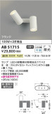 Koizumi ߾ ư֥饱å AB51715þʾLEDη¡ʰΡѤ䡡Ҹ -LIGHTING DEPOT-