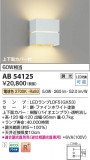 Koizumi ߾ ֥饱å AB54125þʾLEDη¡ʰΡѤ䡡Ҹ -LIGHTING DEPOT-