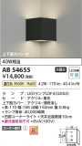 Koizumi ߾ ֥饱å AB54655þʾLEDη¡ʰΡѤ䡡Ҹ -LIGHTING DEPOT-