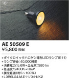 Koizumi ߾ LED AE50509EþʾLEDη¡ʰΡѤ䡡Ҹ -LIGHTING DEPOT-