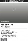 Koizumi ߾ ƥꥢեĹѥ AEE690173þʾLEDη¡ʰΡѤ䡡Ҹ -LIGHTING DEPOT-