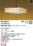 Koizumi ߾ ڥ AP50307þʾLEDη¡ʰΡѤ䡡Ҹ -LIGHTING DEPOT-