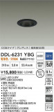 DAIKO ŵ LED饤 DDL-6231YBGþʾLEDη¡ʰΡѤ䡡Ҹ -LIGHTING DEPOT-