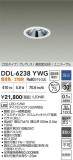 DAIKO ŵ LED˥С饤 DDL-6238YWGþʾLEDη¡ʰΡѤ䡡Ҹ -LIGHTING DEPOT-