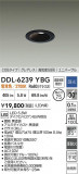 DAIKO ŵ LED˥С饤 DDL-6239YBGþʾLEDη¡ʰΡѤ䡡Ҹ -LIGHTING DEPOT-