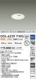 DAIKO ŵ LED˥С饤 DDL-6239YWGþʾLEDη¡ʰΡѤ䡡Ҹ -LIGHTING DEPOT-