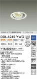 DAIKO ŵ LED˥С饤 DDL-6245YWGþʾLEDη¡ʰΡѤ䡡Ҹ -LIGHTING DEPOT-